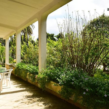 La Cecia - Casa Vacanze Nella Campagna Salentina كافالينو دي ليتشي المظهر الخارجي الصورة