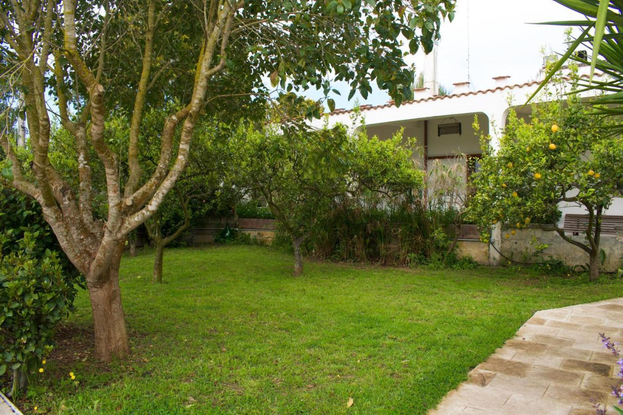 La Cecia - Casa Vacanze Nella Campagna Salentina كافالينو دي ليتشي المظهر الخارجي الصورة